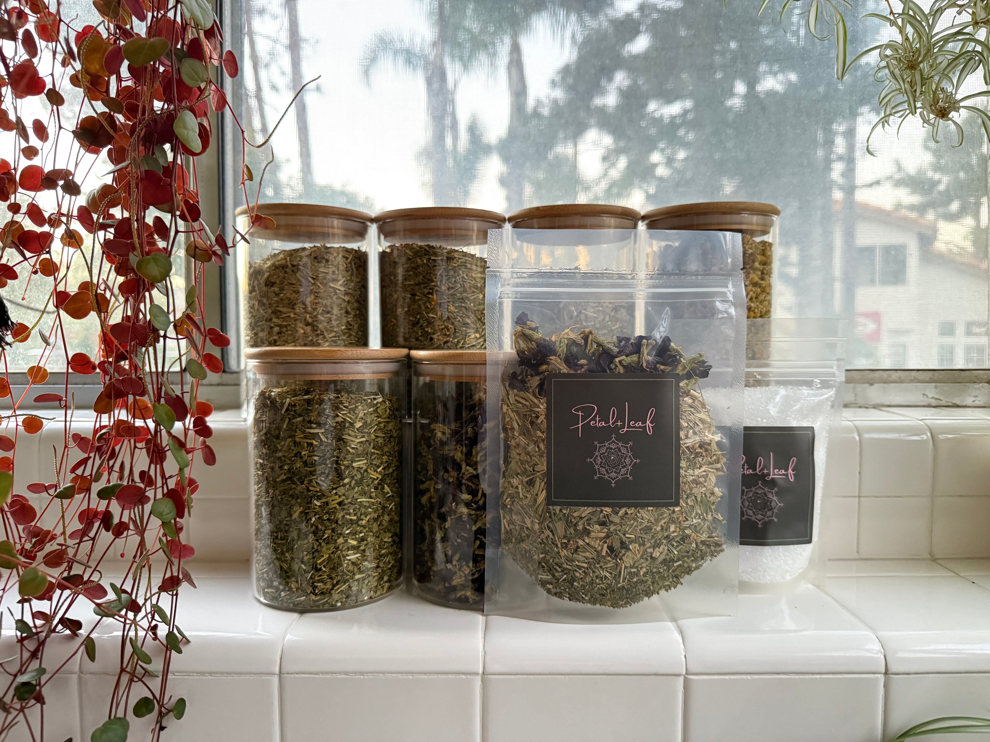 Jars of dried herbs on a tiled windowsill with a view outside.