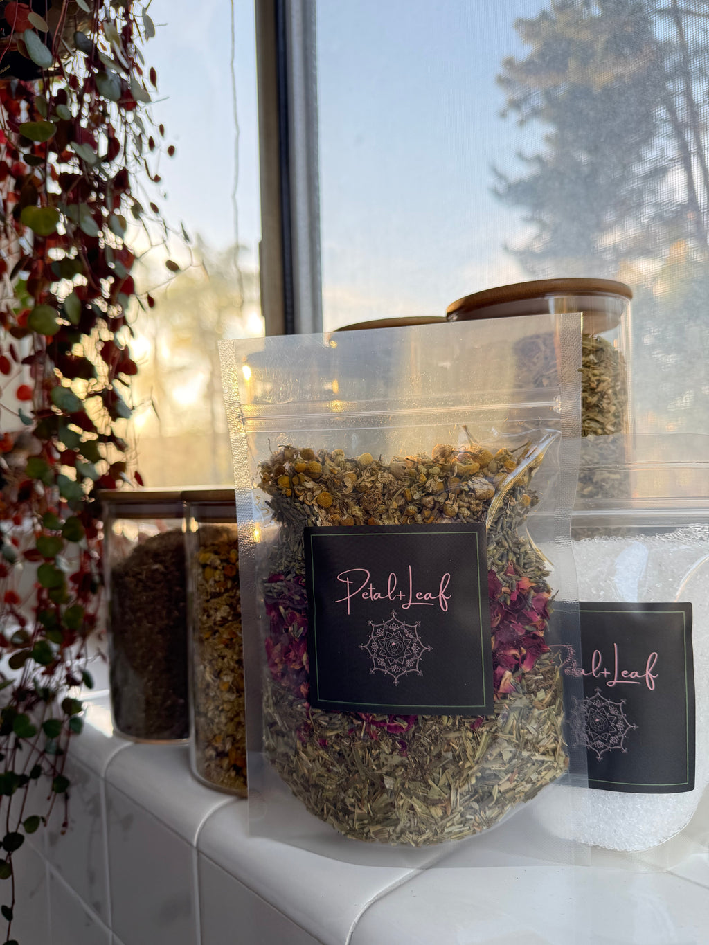 Tranquil Waters – Soothe & Unwind